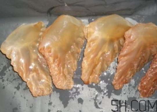 海蜇頭能吃嗎？海蜇頭多少錢(qián)一斤？