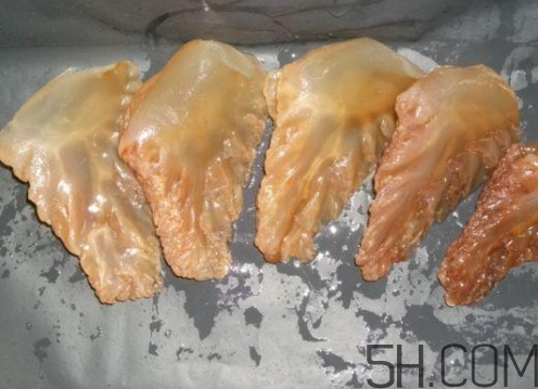 海蜇頭是水母嗎？海蜇頭是動物還是植物？