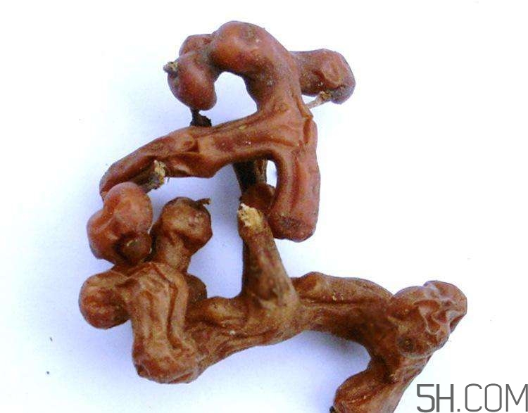 血藤跟拐棗可以一起泡酒嗎？拐棗可以和什么搭配泡酒？