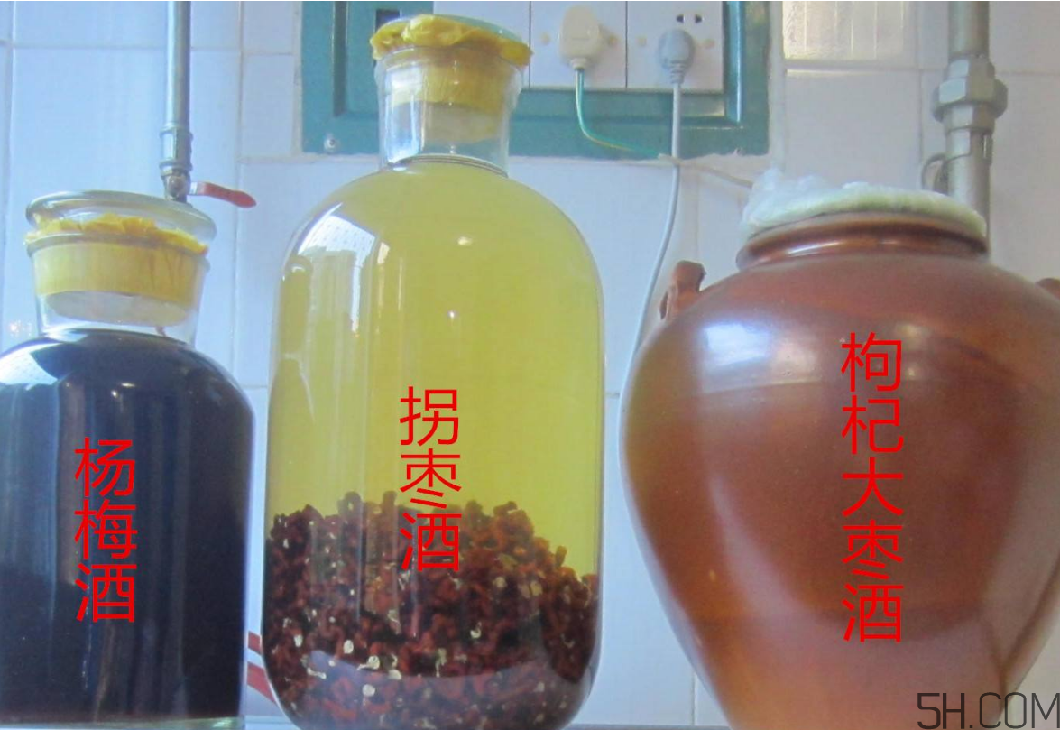 拐棗能泡酒嗎？拐棗能和蜂糖一起泡酒嗎？