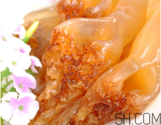 海蜇頭可以冰凍保存嗎？海蜇頭怎么處理