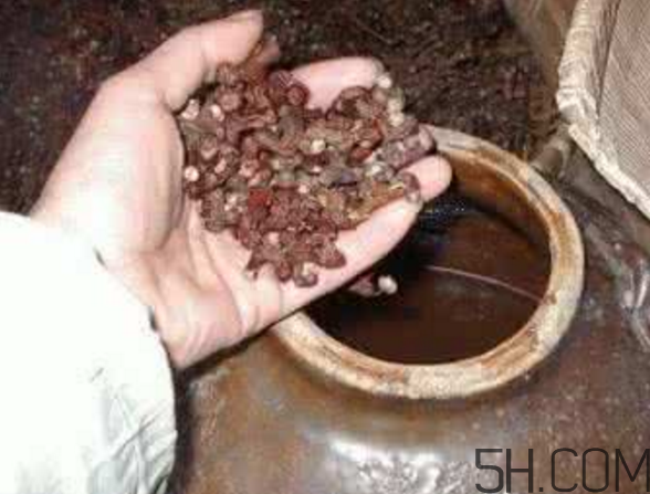 拐棗能泡酒嗎？拐棗能和蜂糖一起泡酒嗎？