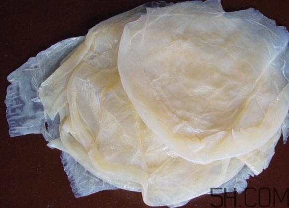 海蜇皮是什么？海蜇皮怎么涼拌