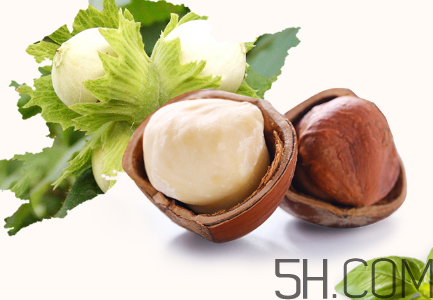 榛子多少錢一斤？榛子如何挑選？