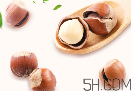 榛子可以天天吃嗎？榛子可以每天吃多少？