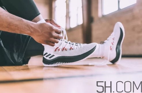 adidas dame 4多少錢？阿迪達斯利拉德四代上腳效果