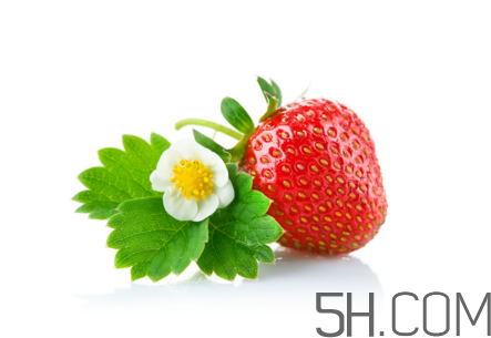 吃了發(fā)霉的草莓怎么辦？怎樣挑選草莓？