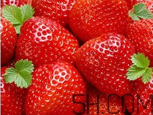 草莓都有哪些熱門品種？草莓怎么放不容易壞？