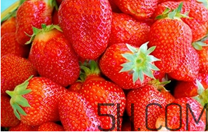 草莓都有哪些熱門品種？草莓怎么放不容易壞？