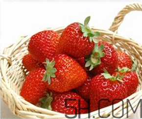 草莓都有哪些熱門品種？草莓怎么放不容易壞？