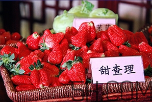 草莓都有哪些熱門品種？草莓怎么放不容易壞？