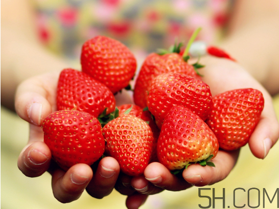 奶油草莓和巧克力草莓哪個更好吃？奶油草莓的區(qū)分