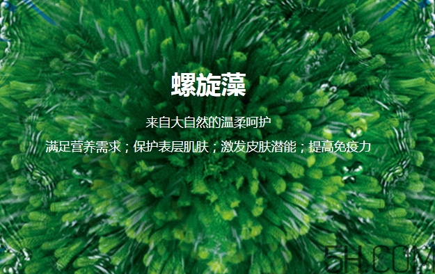 lantern蘭亭是什么牌子？蘭亭是哪個國家的什么檔次