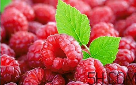 覆盆子茶什么時候喝？桑葚和覆盆子的區(qū)別