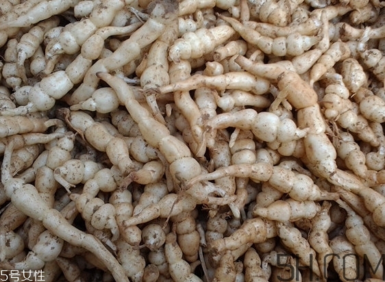 螺絲菜是什么樣的？螺絲菜適合哪些人吃