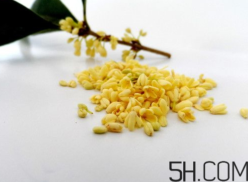 銀桂花好還是白桂花好 銀桂花和白桂花的區(qū)別 銀桂花好還是白桂花好 銀桂花和白桂花的區(qū)別