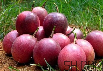 百香果幾月份的最好吃？百香果一次可以吃幾個？