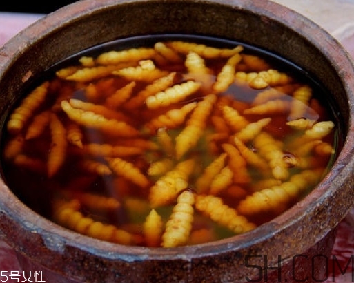 螺絲菜怎么腌制？螺絲菜的種植方法