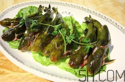 黃骨魚和鯽魚哪個(gè)好？黃骨魚和鯽魚的營養(yǎng)價(jià)值