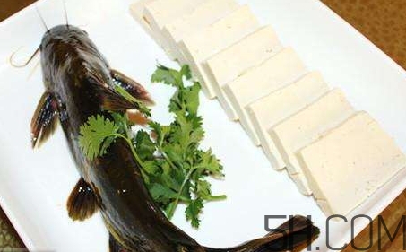 黃骨魚(yú)有刺嗎？黃骨魚(yú)有毒嗎？