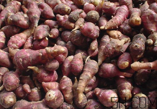 常吃鬼子姜有哪些危害？鬼子姜怎么吃