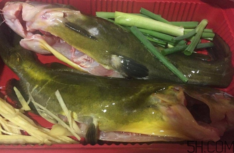 黃骨魚湯下奶嗎？黃骨魚湯的做法 