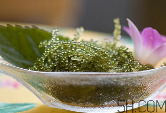 海葡萄好吃嗎？海葡萄怎么吃