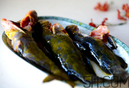 黃骨魚不能和什么一起吃？黃骨魚不適合什么人吃？