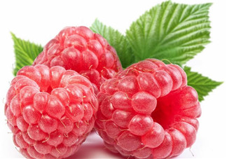 覆盆子的作用有哪些？覆盆子和桑葚哪個好吃？