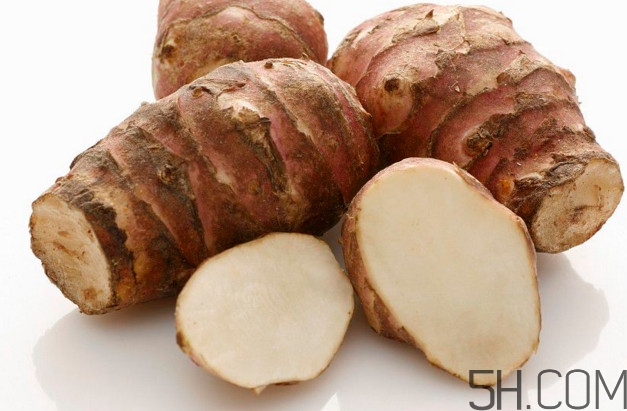 洋姜是生姜嗎？洋姜和生姜的區(qū)別