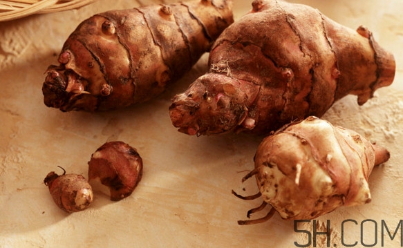 洋姜什么時(shí)候種植？洋姜不能與什么同食