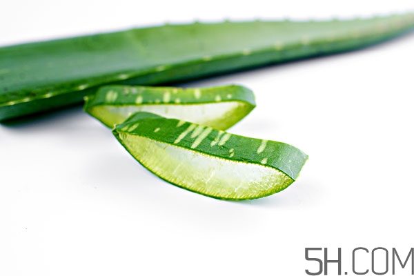 用蘆薈擦臉有什么好處 用蘆薈擦臉的正確方法 用蘆薈擦臉有什么好處 用蘆薈擦臉的正確方法