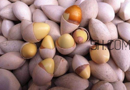 銀杏果一天最多吃幾個(gè) 銀杏果一次吃多少合適 銀杏果一天最多吃幾個(gè) 銀杏果一次吃多少合適