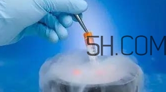 試管嬰兒有什么風險？試管嬰兒長大后的弊端