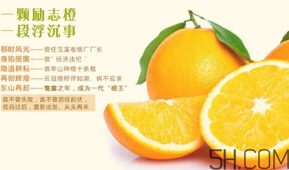 褚橙多少錢一斤？褚橙為什么這么貴