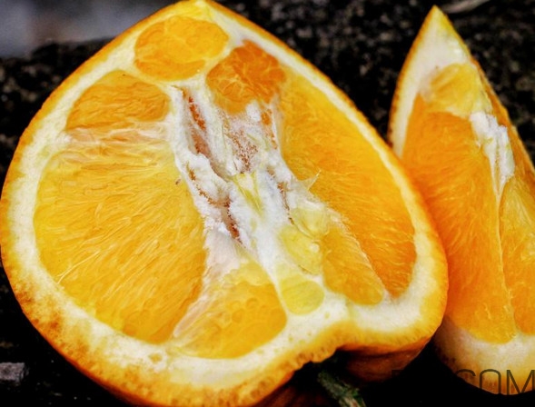 褚橙什么牌子最正宗？褚橙的種植技術