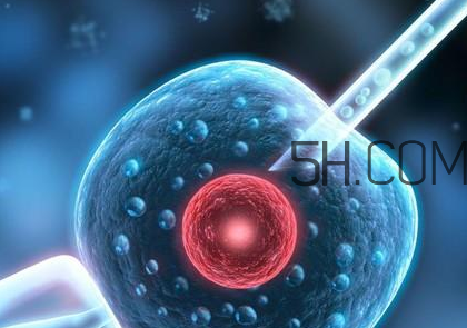 染色體異?？梢宰鲈嚬軏雰簡?？染色體異常能要孩子嗎？