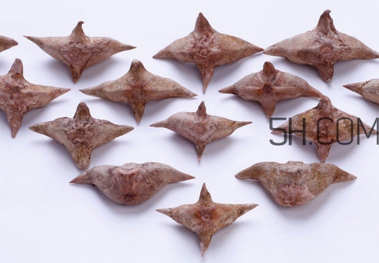 菱角殼煮水每次多少克？紅菱角和黑菱角的區(qū)別