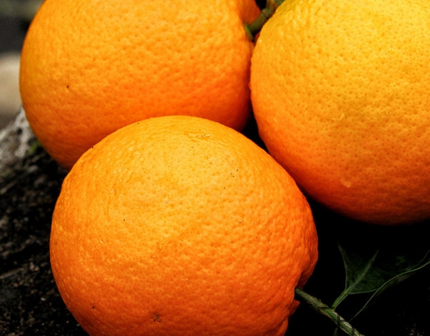 褚橙是哪個(gè)地方的特產(chǎn)？褚橙是怎么做營(yíng)銷(xiāo)的