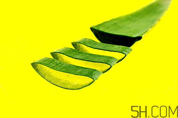 用蘆薈擦臉有什么好處 用蘆薈擦臉的正確方法 用蘆薈擦臉有什么好處 用蘆薈擦臉的正確方法