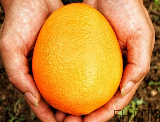 褚橙什么牌子最正宗？褚橙的種植技術