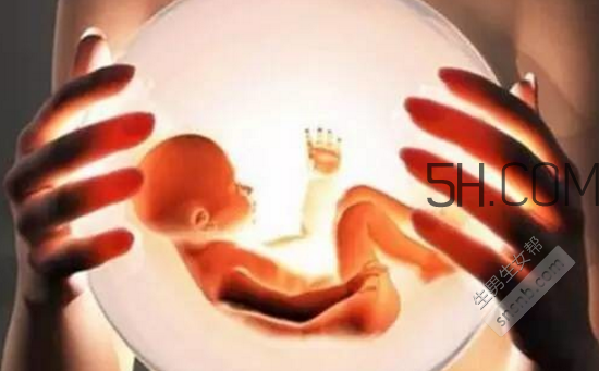 凍胚和鮮胚哪個(gè)成功率比較高？?jī)雠吆王r胚移植的優(yōu)缺點(diǎn)分別是什么？