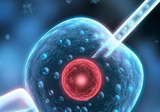 染色體異?？梢宰鲈嚬軏雰簡?？染色體異常能要孩子嗎？