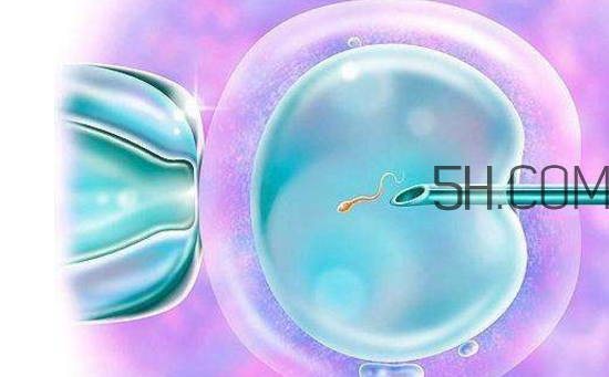 凍胚和鮮胚哪個(gè)成功率比較高？?jī)雠吆王r胚移植的優(yōu)缺點(diǎn)分別是什么？