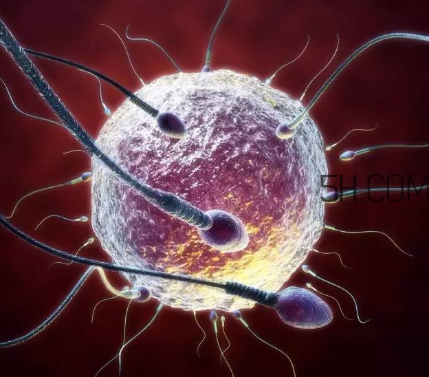 試管嬰兒有什么風險？試管嬰兒長大后的弊端