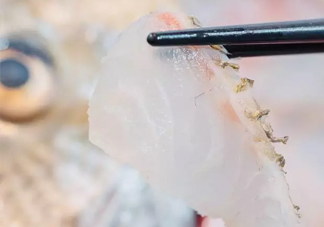 鯛魚怎么做？鯛魚是海魚還是淡水魚