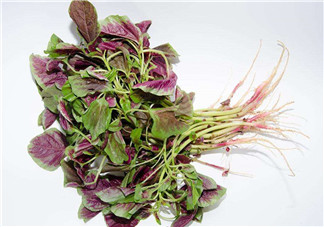 莧菜是酸性還是堿性？吃莧菜有什么好處？