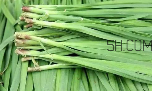 生蠔和韭菜一起吃有什么好處？吃韭菜的好處