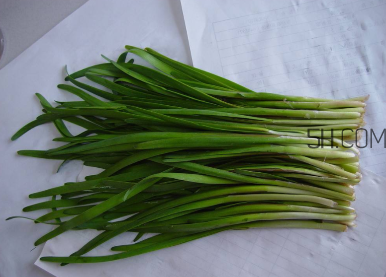 韭菜怎么保存？韭菜傷胃嗎？