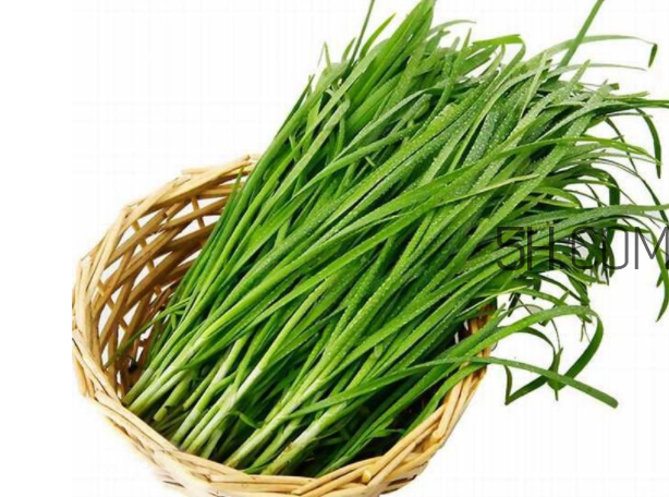 如何挑選新鮮的韭菜？野韭菜與韭菜的區(qū)別